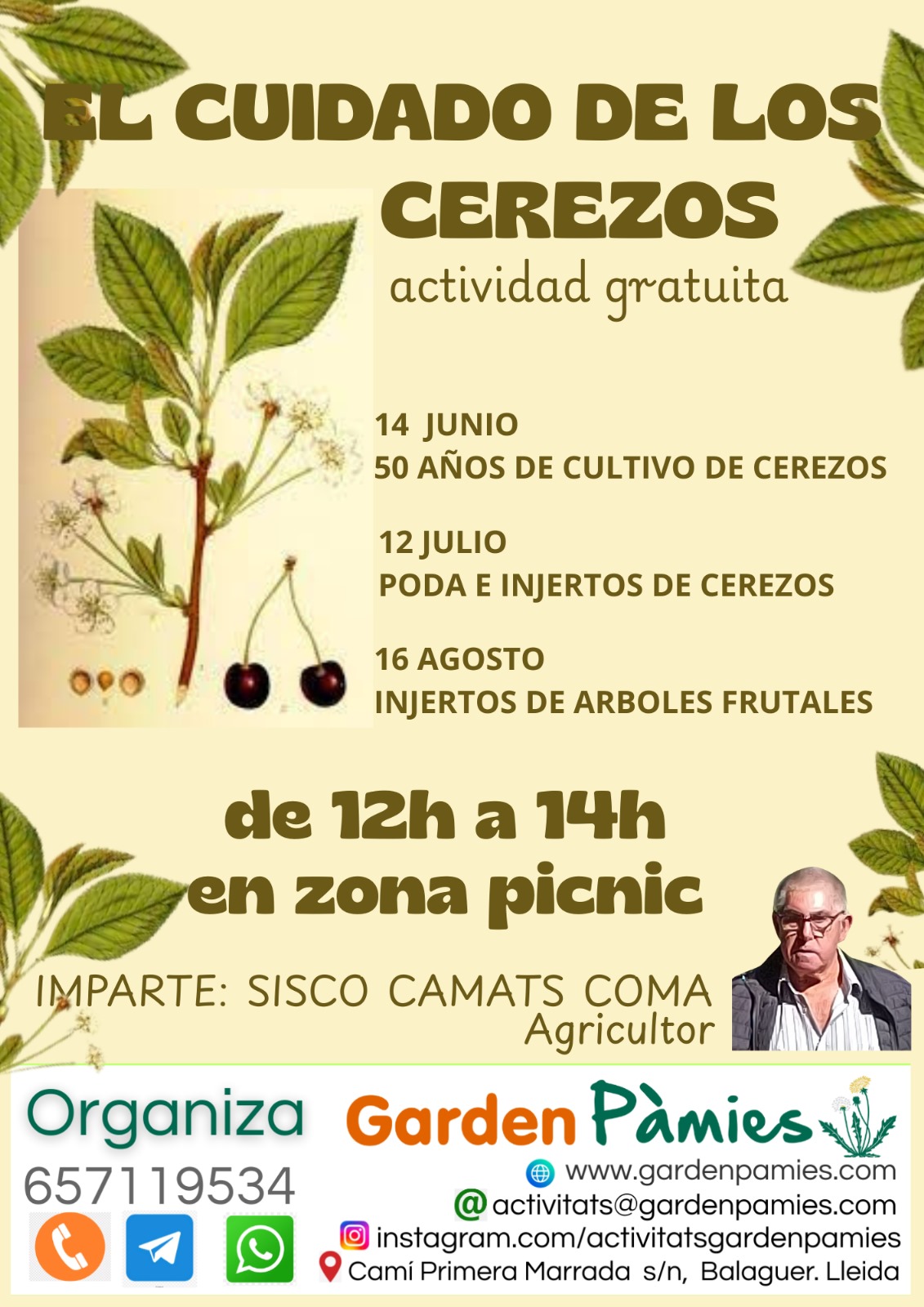 Curso Gratuito: Sesión sobre poda e injertos de cerezos